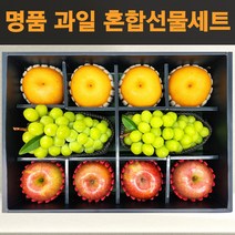 [프레시퍼스트] 프리미엄 vip 과일 혼합 망고 사과 배 샤인머스켓 12구 명품 과일 세트 추석 설날 명절 선물세트 [9월25일 9시이전 주문시 명절전 도착], h. VIP 배/사과/샤인 12구 선물세트 8호