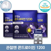 콘드로이친 관절엔 콘드로이친1200 + 씨오케이 마스크 사은품, 60정, 3개