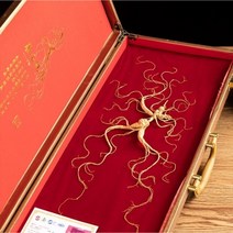 산삼 동북 장백산 30년근 인삼 삼림 선물, 갈색, 18g