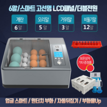 병아리 부화기 미니 메추리알 계란 자동 전란 온도조절 유정란 키우기 조류 물공급기, 프리미엄 부화기 6구