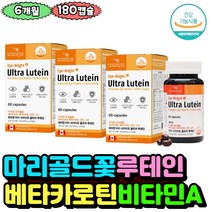 노년층 눈의노안으로 침침한눈 흐릿할때 루테인 베타카로틴 노안에좋은 건강기능식품 시력개선 눈의피로개선 눈시림 할머니 할아버지 노년층 건강식품 빌베리 블루베리 마리골드꽃 비타민A 노인