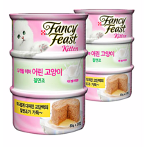 팬시피스트 키튼 텐더 칠면조 고양이 주식캔, 85g, 6개