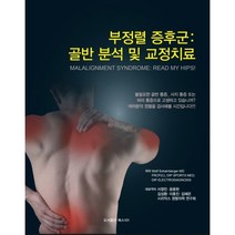 부정렬 증후군 : 골반 분석 및 교정 치료, Wolf Schamberger, M.D. 저/서창..., 북스101