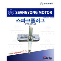 쌍용자동차 순정부품 티볼리 스파크플러그 1721590003, 1개