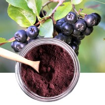 블랙초코베리 아로니아 가루 분말, 2. 블랙초코베리 분말 1kg