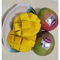 수입산 프리미엄 애플망고 1kg 2kg 3kg 4kg 중남미 새콤달콤 Apple mango, 4kg (8-12과), 1개