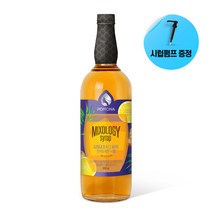 포모나 믹솔로지 진저앤레몬시럽1000ml+전용펌프