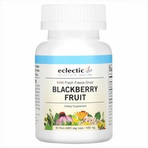 블랙베리 Raw Fresh Freeze Dried Blackberry Fruit 480mg 90 베지캡