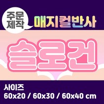 라인팩토리 주문제작 매지컬 반사 슬로건, 60x40, 일반 스웨이드, 핑크