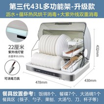 식기 살균 건조기 스마트 수저 소독기 자취 주방 수저 그릇 수저통 칼 전기식 식기소독기, 43L 업그레이드+순환열풍 소독+대자외선