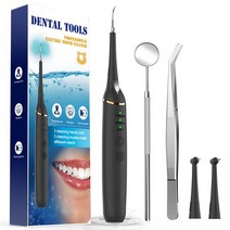 충전식 전기 소닉 치과 스케일러 진동 치아 미백 치석 플라크 얼룩 제거 클리너, 프랑스, Dental Scaler
