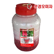 2023년산 문경 생오미자 5kg(아이스박스)세척, 문경오미자청10kg(오미자5kg+백설탕5kg), 10KG