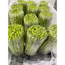 [림다준] 싱싱한 생 아스파라거스 1kg 내외