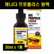 프로폴리스원액 프로폴리스스포이드 유아 플로폴리스 액체 액상 포르폴리스 리퀴드 캐나다 30ml 1병