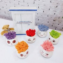 귀요미 큰이모티콘화분 6종 set 스칸디아모스 천연이끼 공기정화 이모티콘 화분