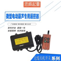 무선컨트롤러 마이크로 형 전동 조롱박 스위치 전용 리모컨 220V 크레인 승강 기중 콘솔모니터 2504593091, PA800 상하 더블 컨트롤