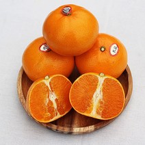 [프레시푸드마켓] 제주도천혜향 제주천혜향 1.5KG 2.5KG 5KG 10KG, 천혜향 2.5KG