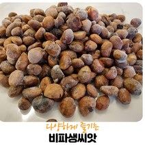 (영만수산)완도산 비파생 씨앗1KG