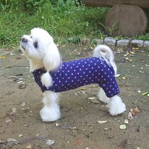 해피보이스 하트하트 강아지옷