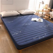 허리디스크 매트리스 UVR북유럽 미니멀리스트 스타일 메모리 폼 느린 라텍스 고급 두꺼운 다다미 패드 바닥 매트 풀 사이즈, 90x200cm+Thickness 4cm+NO-2