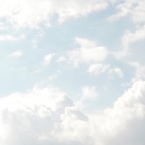 향기에반하다 프래그런스오일 L타입 알데하이드44 향기오일 향료 캔들 디퓨저 석고방향제 비누만들기, 알데하이드44 프래그런스오일 500ml