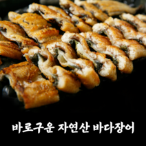 바다장어 집에서 술안주베스트 장어 소금 간장 양념 구이 스테미너 캠핑 음식 바닷장어 포장, 양념장어구이2팩