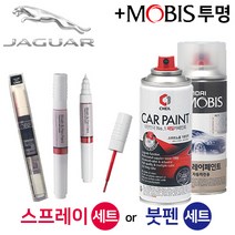 재규어 1AN 오스뮴 붓펜 붓페인트 스프레이 차량용 락카 카페인트 도색 자동차 카 보수, 스프레이/1AN 오스뮴+M 투명