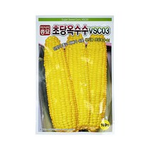 아시아종묘 초당옥수수 100립, 단품