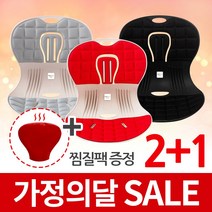 트러블체어 + 냉온찜질팩 자세교정 좌식의자 허리건강 등받이 의자 행사, 블랙2개+레드