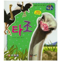타조, 통큰세상