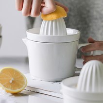 가정용 생과일 착즙기 원액기 포도 미니 생즙기, A