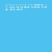 NSB9788954699839 새책-스테이책터 [나는 내 인생에 시원한 구멍을 내고 싶다] --문학동네 시인선 170-문학동네-박판식 지음-한국시-202, 나는 내 인생에 시원한 구멍을 내고 싶다