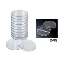 중등 과학교구 페트리디쉬(플라스틱)-샬레(A형) 과학세트 과학실