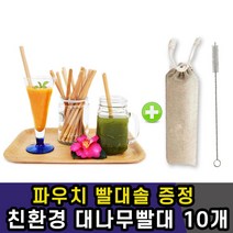 친환경 평생 대나무 빨대 재활용 휴대용 10개 파우치 세트 빨대세척솔 증정, 본상품선택, 본상품선택