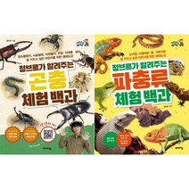 바이킹 정브르가 알려주는 곤충 체험 백과 + 정브르가 알려주는 파충류 체험 백과 [전2권] 체험하는 바이킹 시리즈