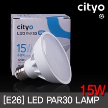 LED PAR30 15W 확산형 E26 (2색상) KS 엘이디램프 씨티, 1, 주광색(하얀빛)
