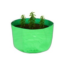 슬로시 텃밭 베란다 화분 그로우백