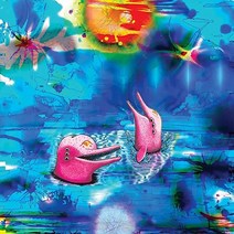 앤텔로퍼 Anteloper Pink Dolphins LP 음반 바이닐 레코드 앨범