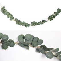 유칼립투스 나뭇잎 가랜드 원형잎 2M 파티 장식, 단품
