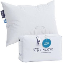 Lincove Cloud Natural 캐나다 화이트 다운 럭셔리 수면 베개 - 625 필 파워 500수 면 쉘 캐나다산 표준 - 미디엄 1개입, Firm, Queen (Pack of 1)