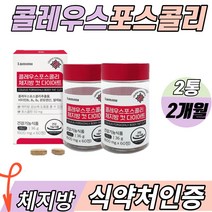 식약처인증 콜레우스 포스콜리 포스콜리다이어트 체지방 다이어트 콜레우스포스콜리 체지방관리 히비스크