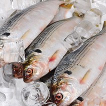 자연산 제철 전어 1kg 13-16미, 자연산 전어 1kg 13-16미, 상세설명 참조