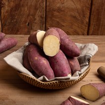 영암농수산 꿀고구마, 꿀고구마 10kg 한입