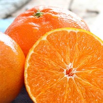 산지직송 제주 레드향 가정용 3kg 5kg 10kg, 대과 5kg