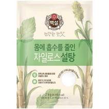 백설 건강한 단맛 하얀 자일로스설탕 2kg, 1개