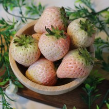 하얀딸기 신데렐라딸기 화이트딸기 만년설딸기 아이간식 과일선물세트 부모님선물, 8팩, 500g