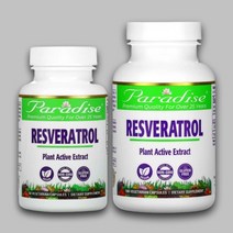 파라다이스 허브 레스베라트롤 레스베라톨 폴리페놀 효능 100mg 60/180 캡슐, 레스베라트롤 180캡슐