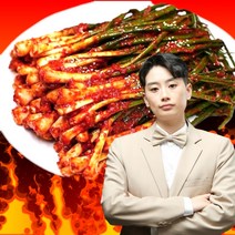[미친혜택] 생활의달인 파김치 고객만족도 5.0 상품 100개만 이 가격에 판매함, 750g+750g