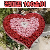 장미꽃 100송이 생일 기념일 축하 선물 꽃다발 꽃상자, 레드+핑크