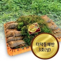 YL663 고씨네농장 더덕3호상 강원도더덕 도라지 야생더덕 가성비, 쿠팡윙 등채반3호(1.5kg)